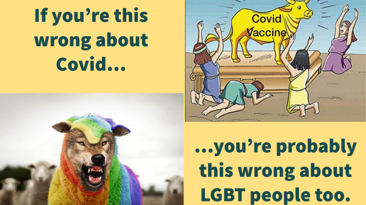 People worshipping a cow marked 'covid' and a wolf in rainbow fleece with the text 'If you are this wrong about covid ... you're probably wrong about LGBT people too.